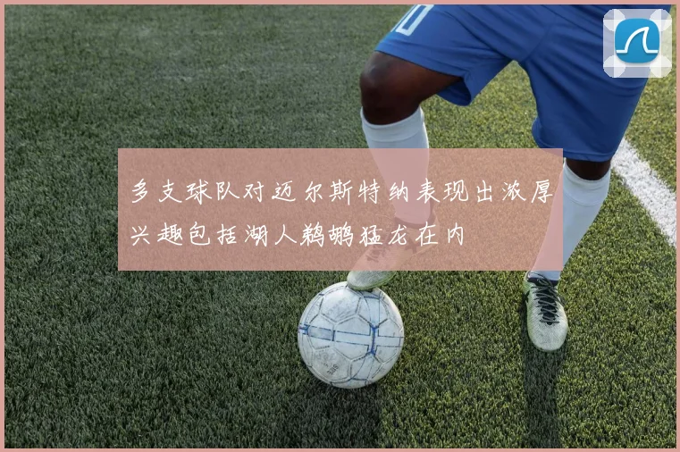 多支球队对迈尔斯特纳表现出浓厚兴趣包括湖人鹈鹕猛龙在内