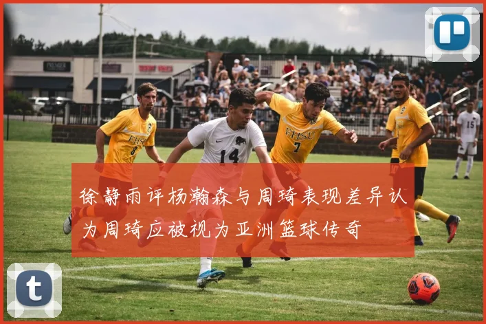 徐静雨评杨瀚森与周琦表现差异认为周琦应被视为亚洲篮球传奇